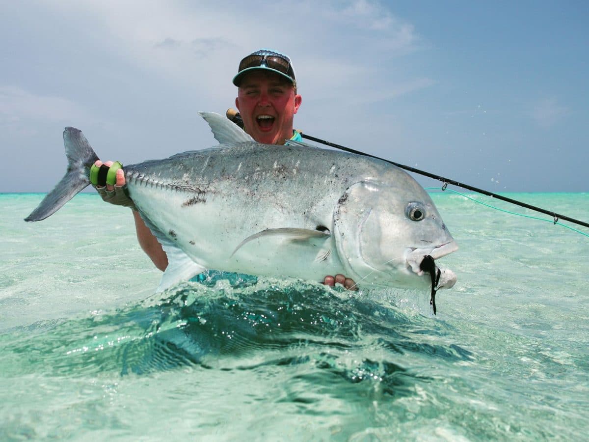 Maldiverne: Giant Trevally