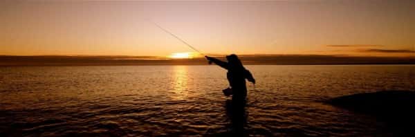 De 10 Bedste Havørred Natpladser i Sønderjylland