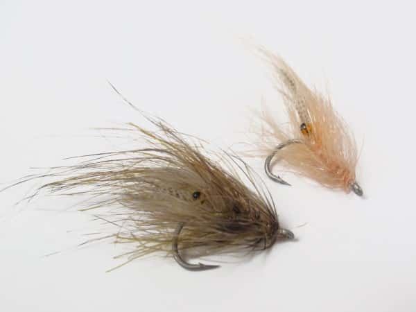 Alive Rejen: De Bedste Rejefluer