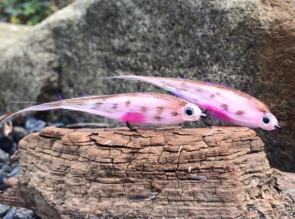 Autumn Bait: Kystflue