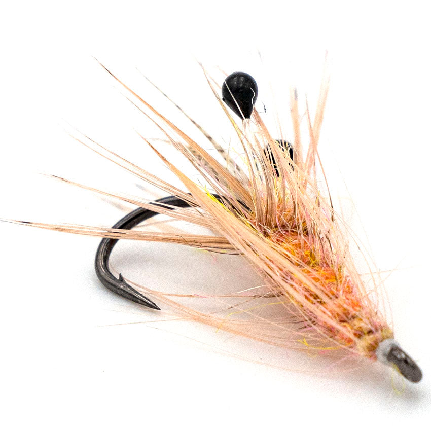 MRI Coq de Leon Reje