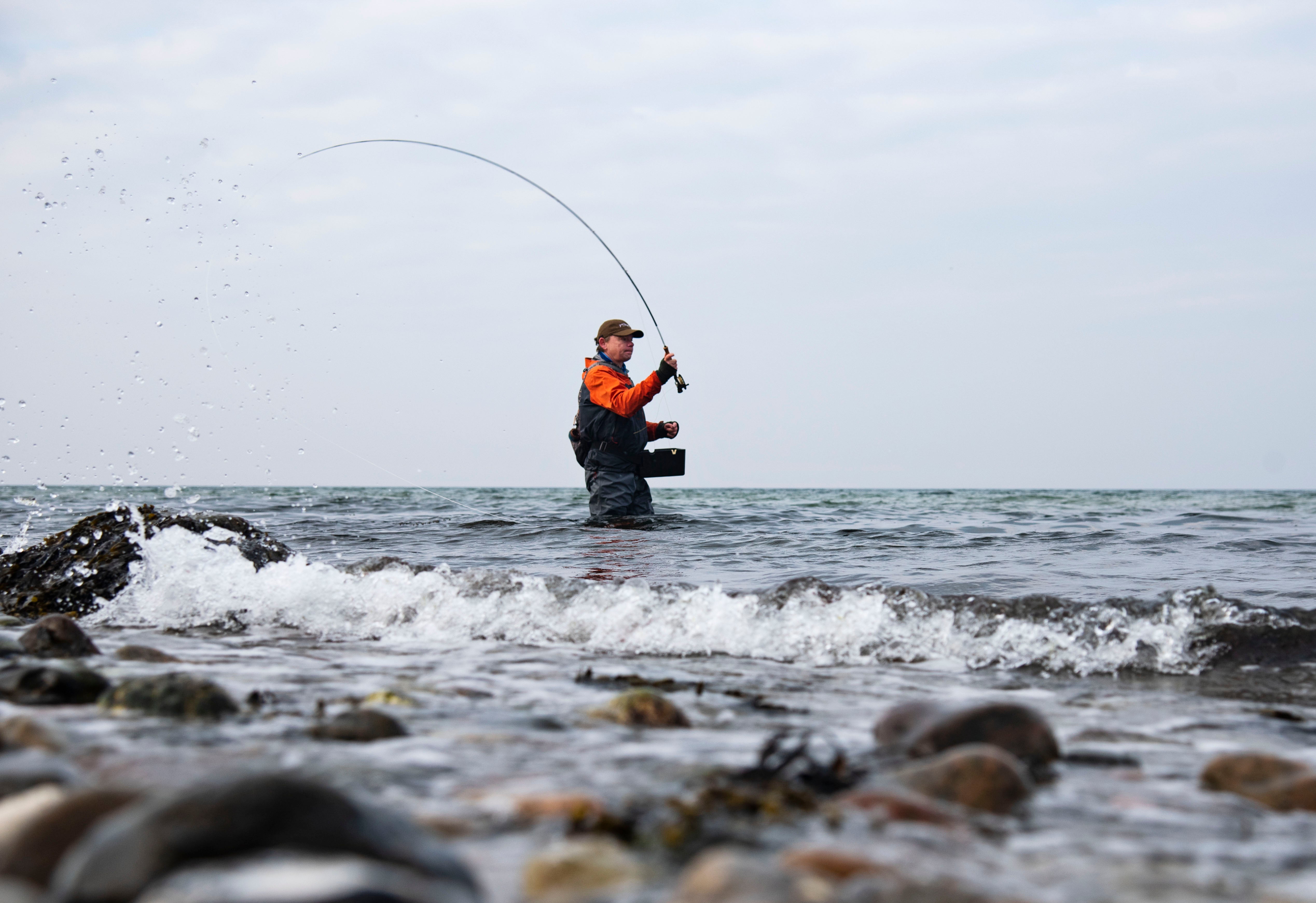 Lystfiskernes Hemmeligheder Afsløret
