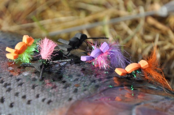 Skumflue til Fjeldørreder