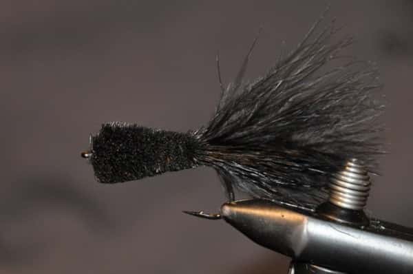 Natflue til Havørred: Det er Snart Tid!