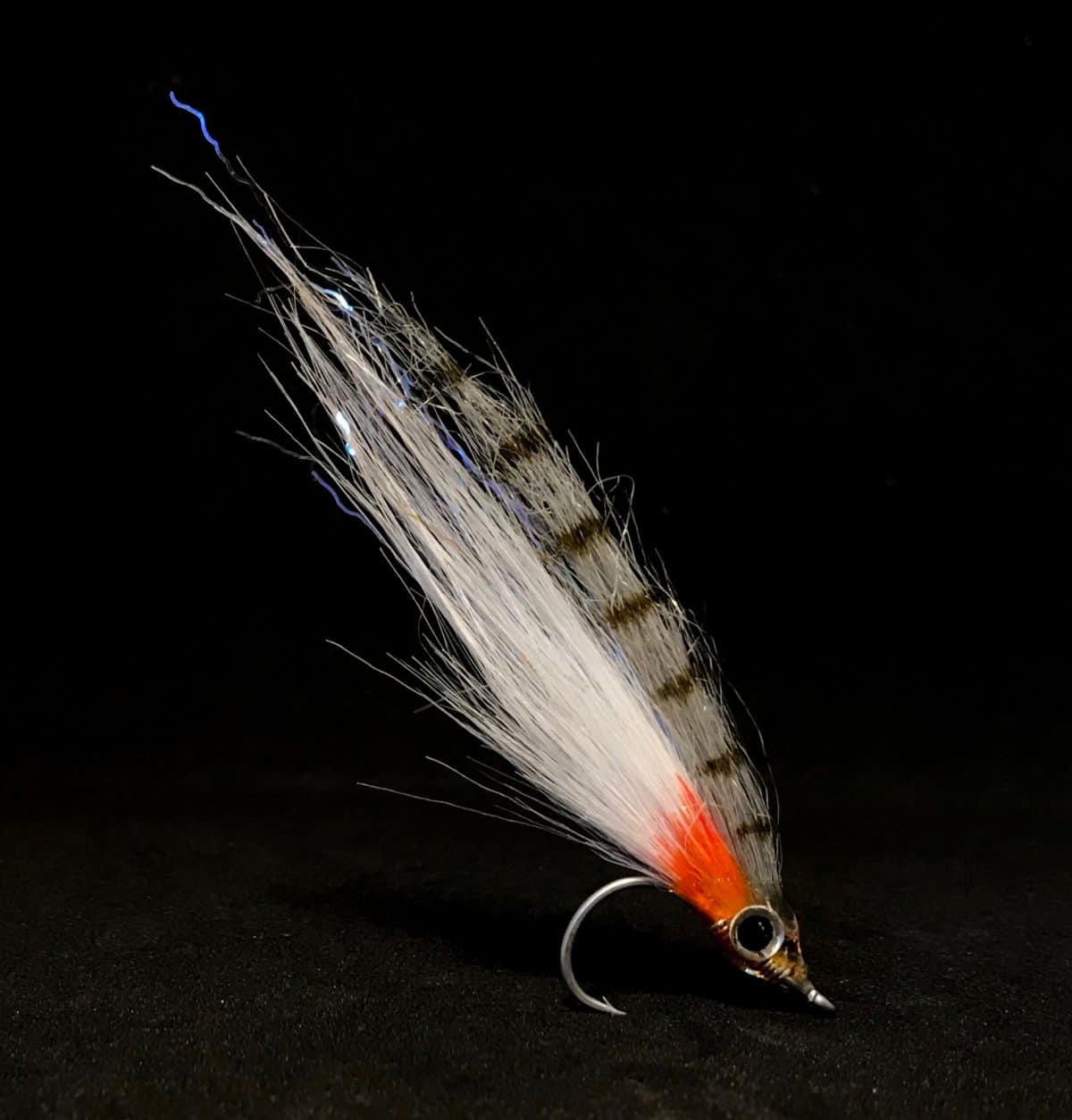 Kystfluen - Langelænder Brislingen