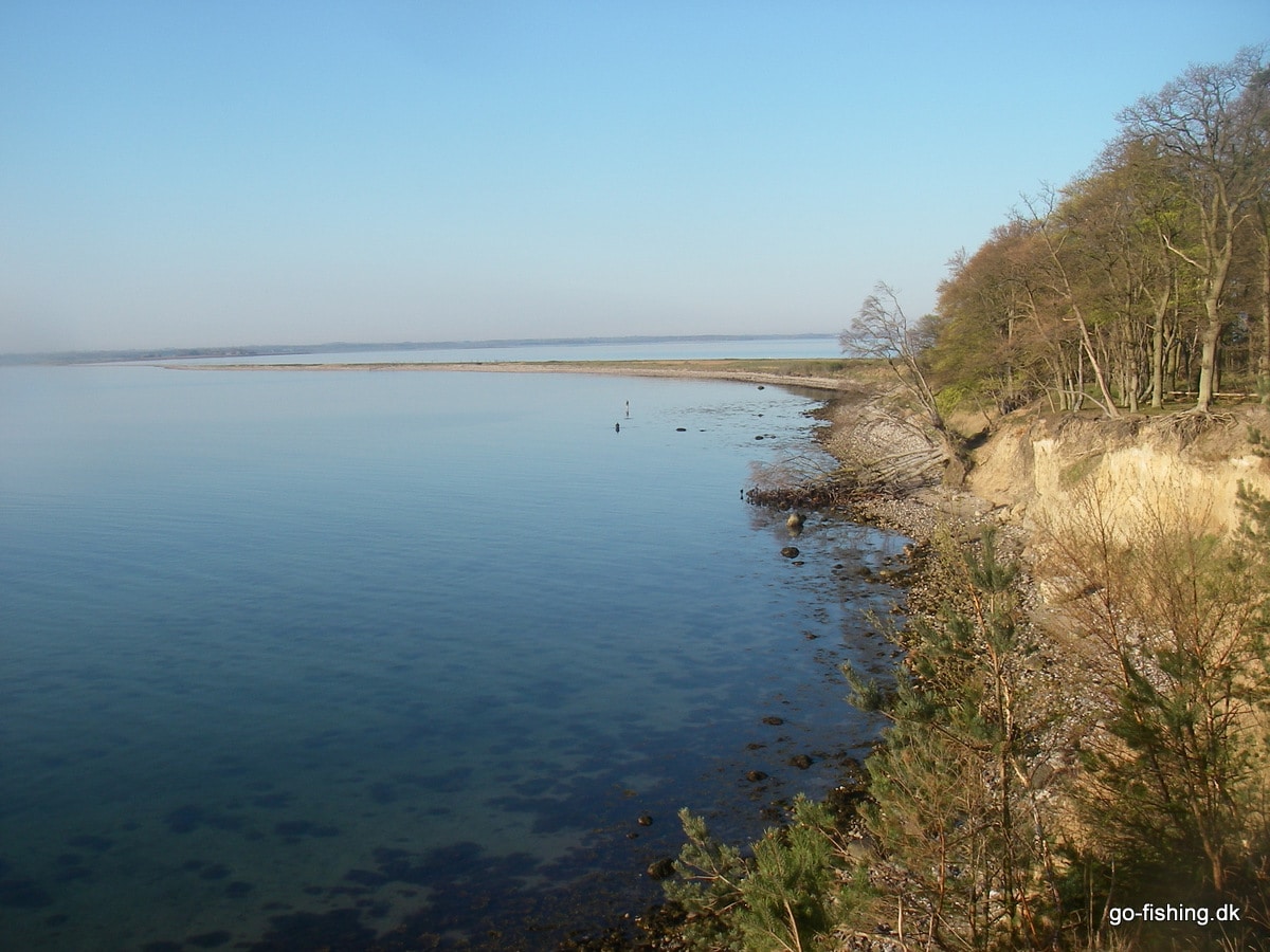Æbelø: En Guldklump til Sølvtøj