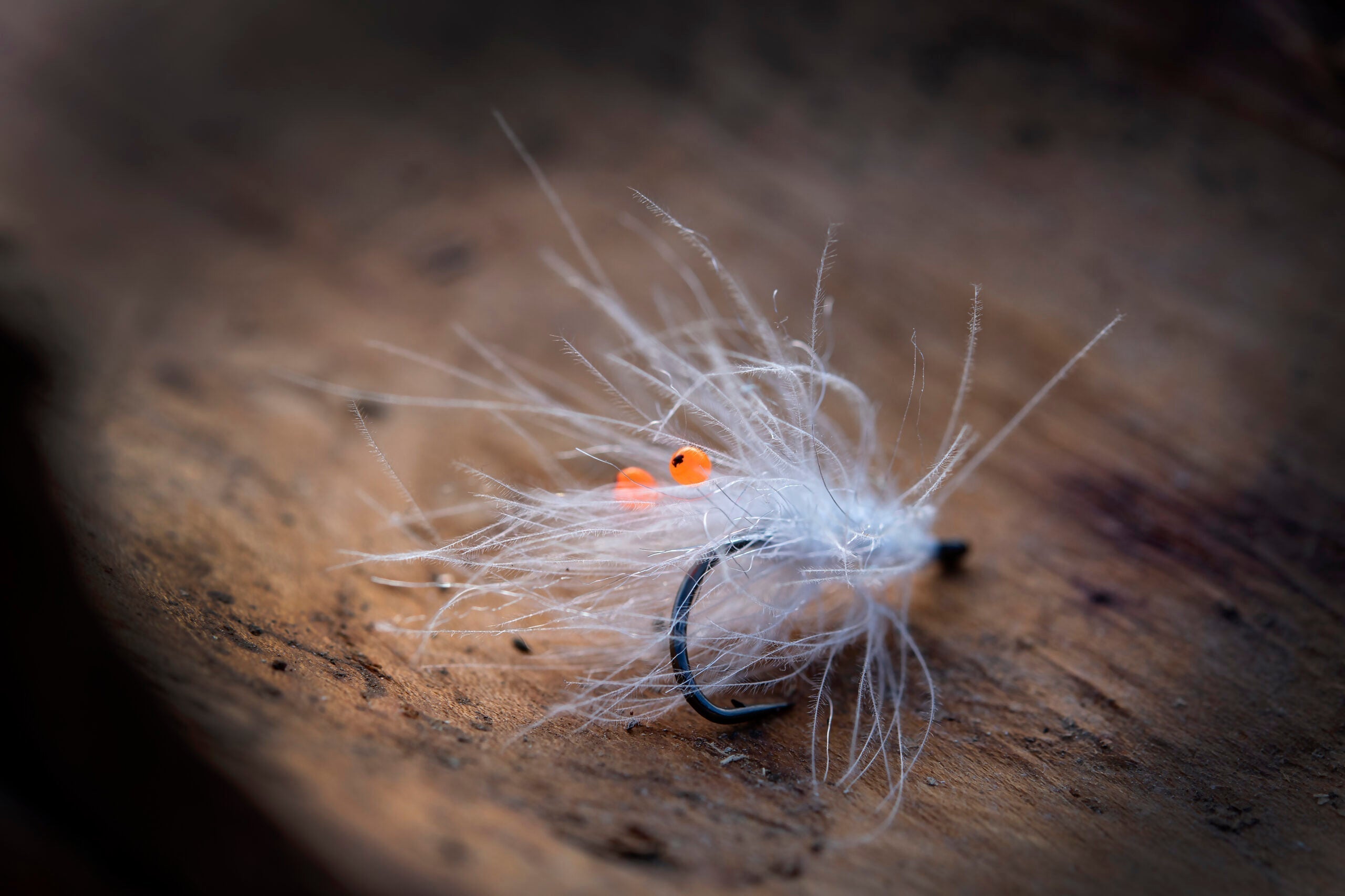 Fjordrejen: Kystflue til Havørred