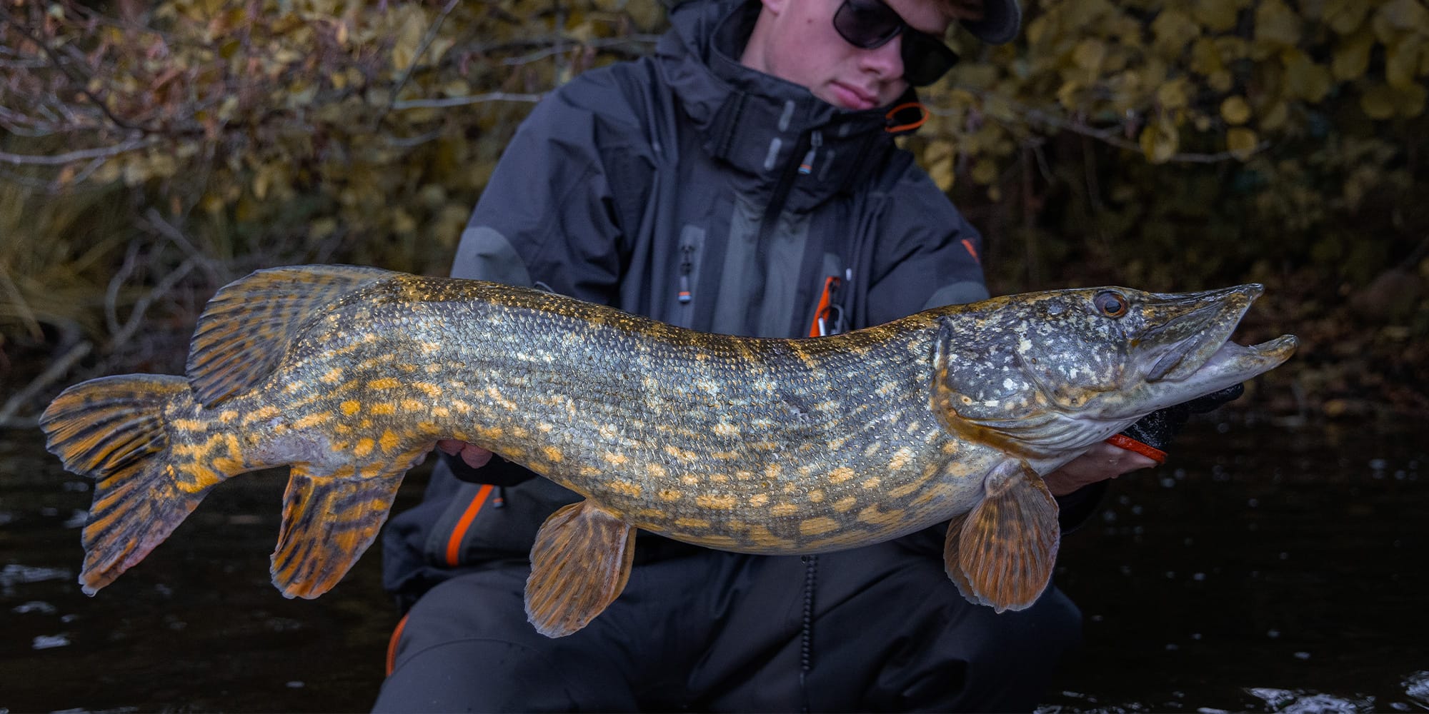 Predatorfiskeri med Savage Gear i Davinde Sø 15. Oktober 2025