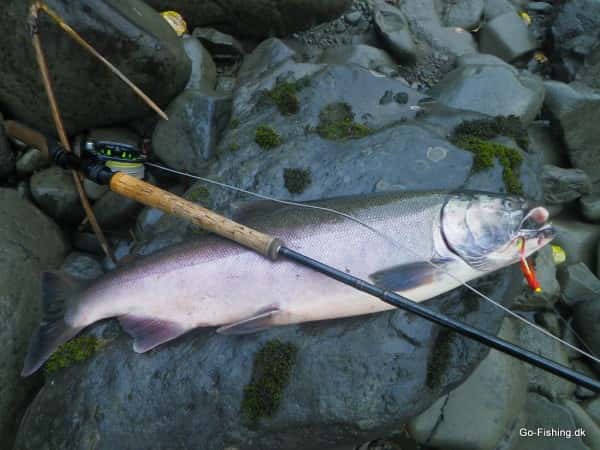 Nyt Syn på Fluorescens