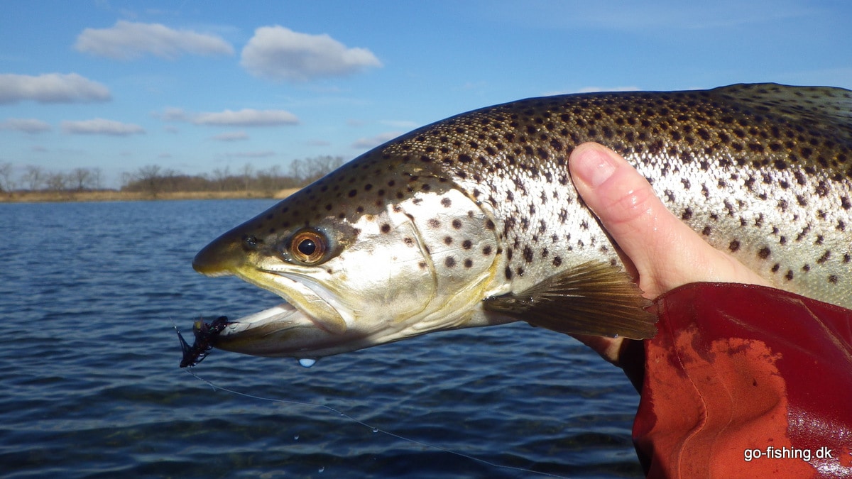 Marts: Den Bedste Kystmåned