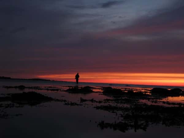10 Bedste Havørred Natpladser på Fyn