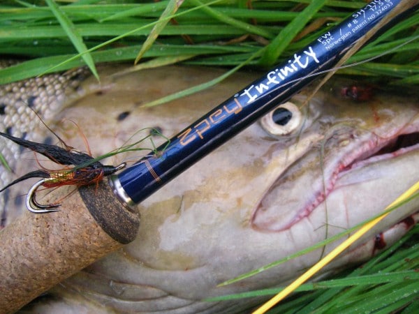 Tvillingefangst eller Fusk? Sandheden Bag