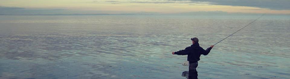 Optimer din Aflæsning af Kysten