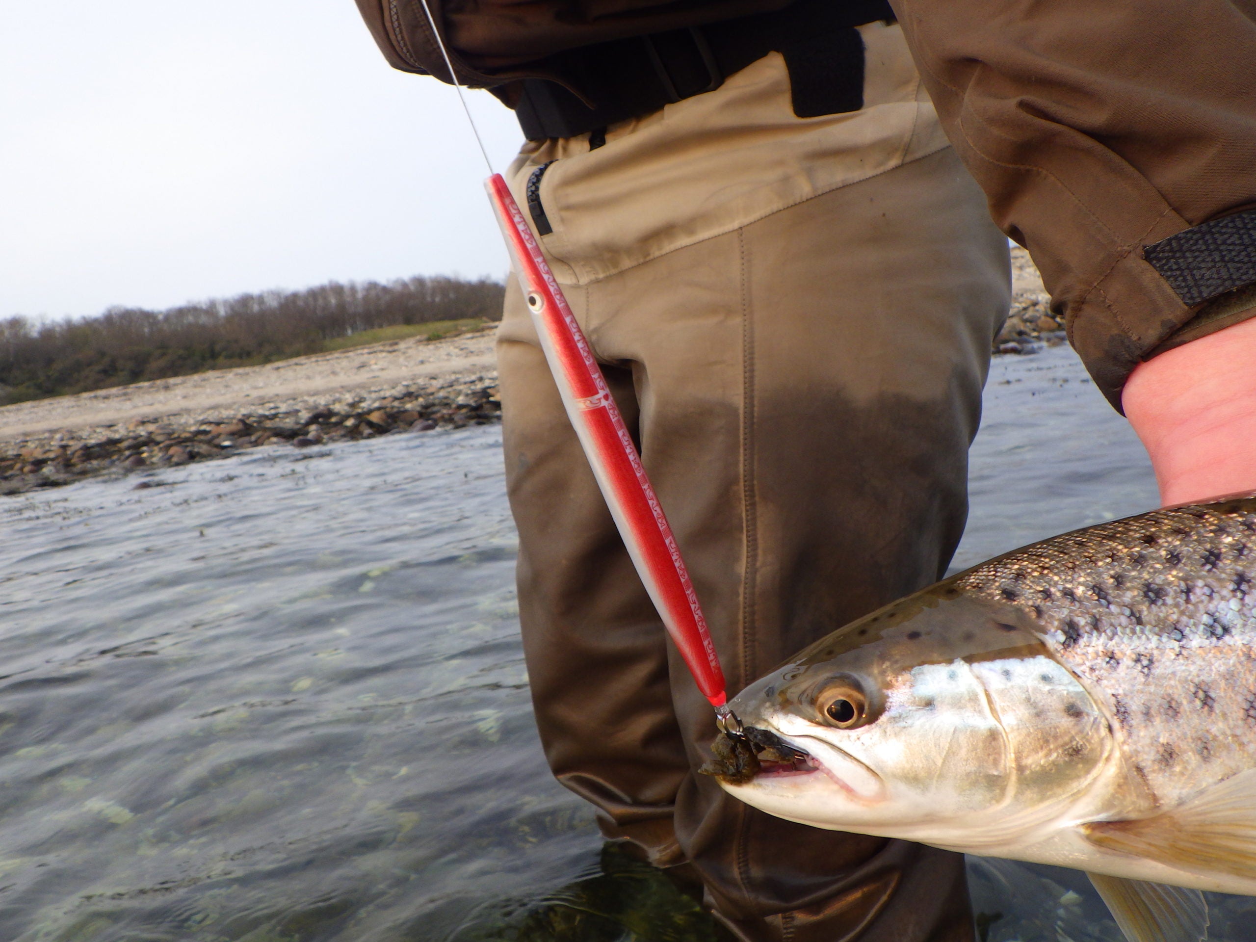 Marts: Måneden med de Magiske 6