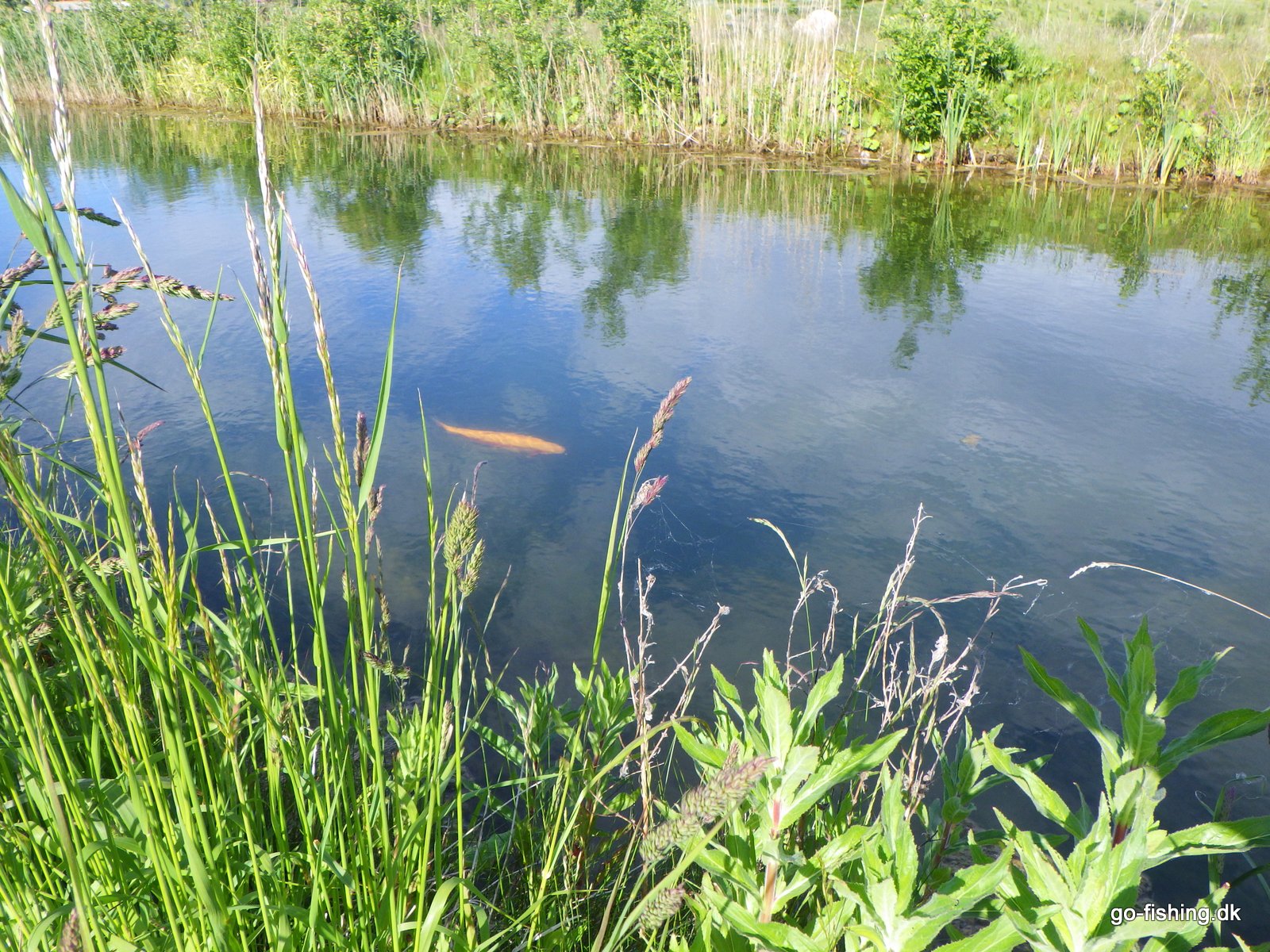 Klart vand i Blue Rock