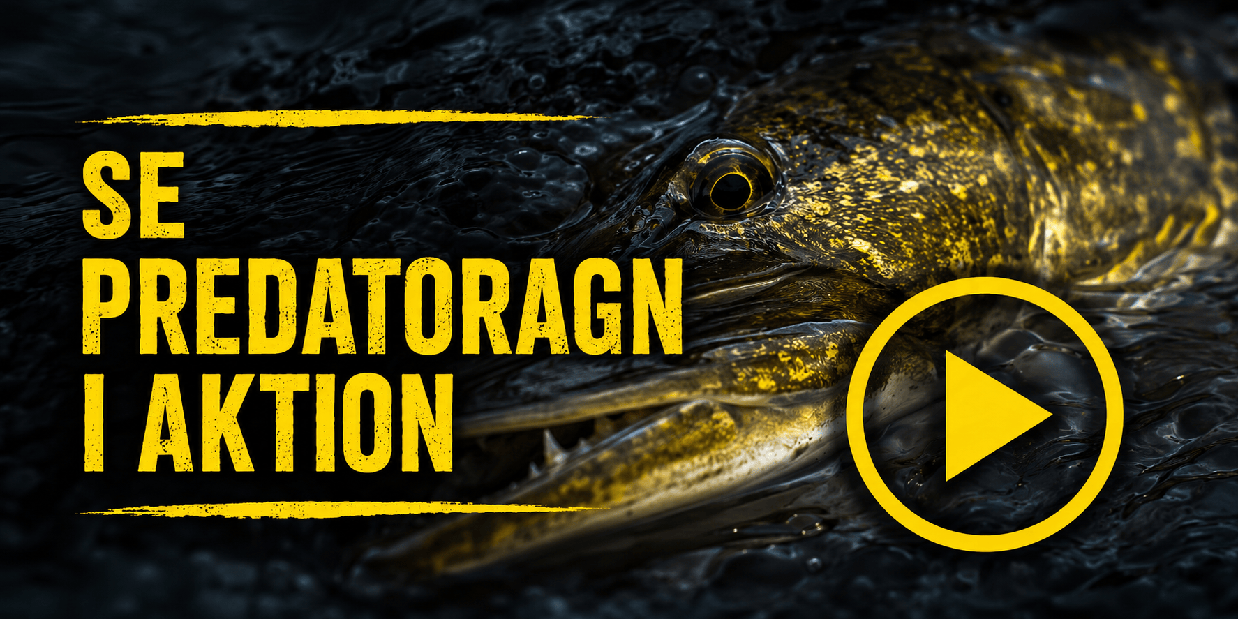 De fedeste Predator agn! - Se gangen i vandet.