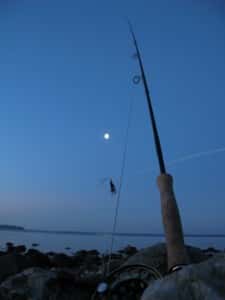 Havørredfiskeri i Sommernatten