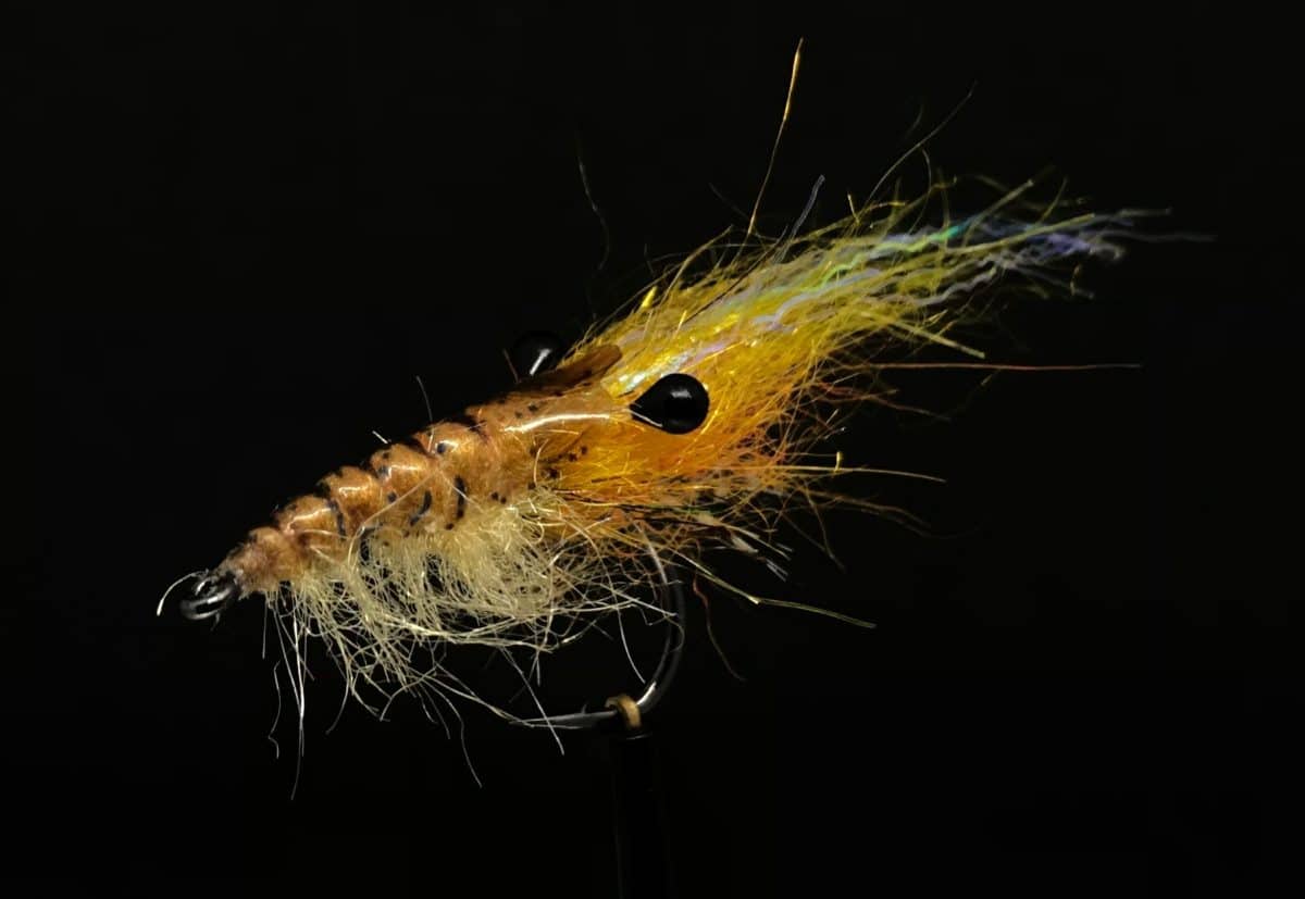 Kystfluen Alfierejen