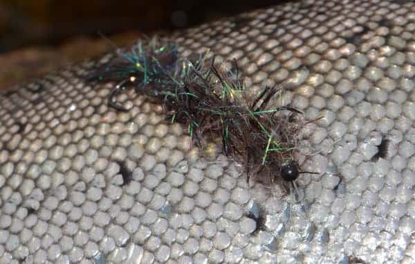 Claus' Favoritorm: Alive Børsteorm