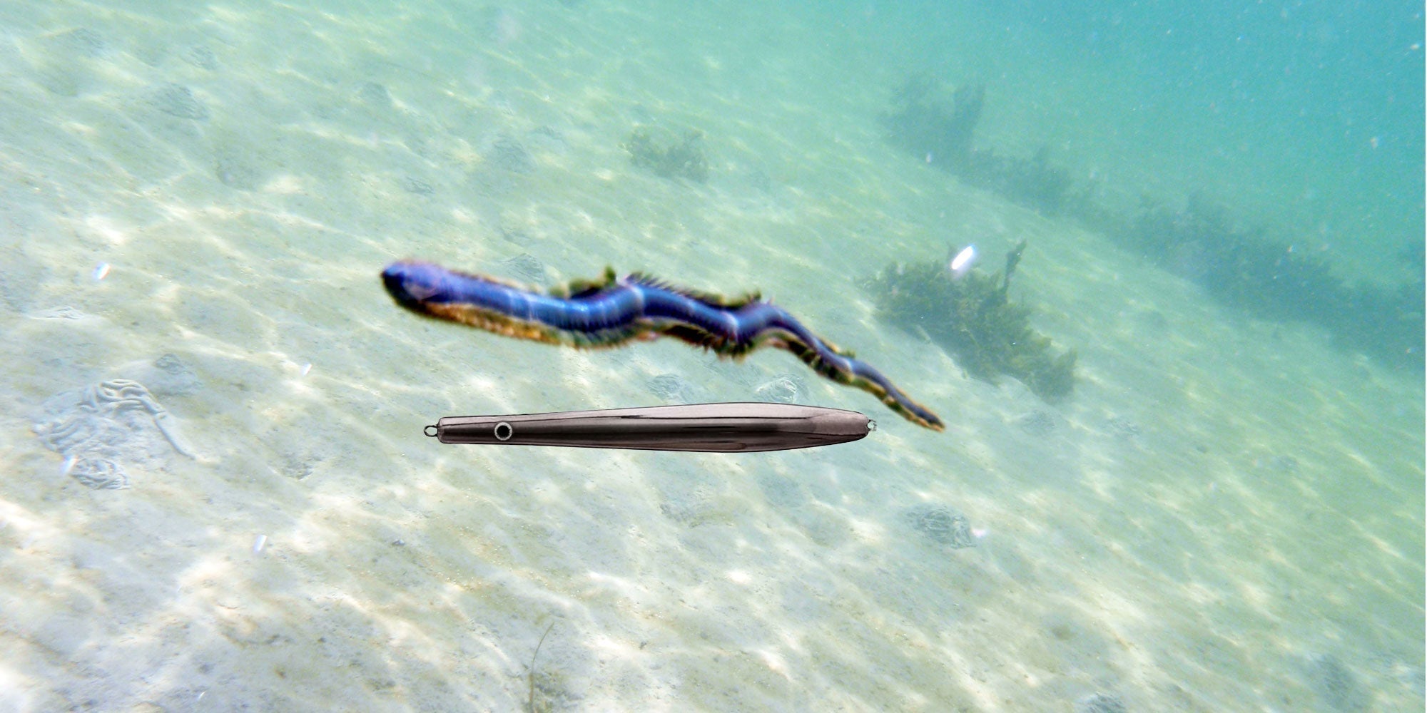 Det er tid for Børsteorme