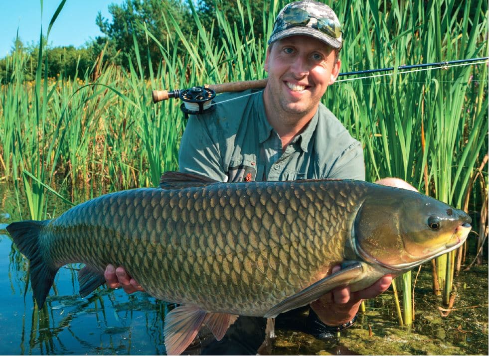 Græskarper på Flue