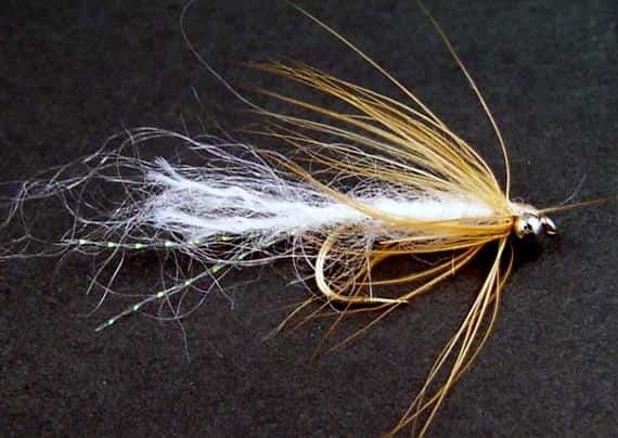 Hindsholm Fluen: En Klassiker