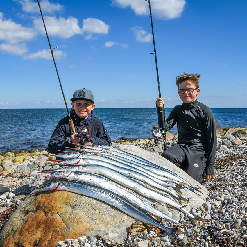 Fang en Hornfisk