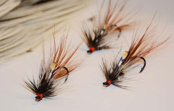 Irlandsfluen: Til Havørred og Laks