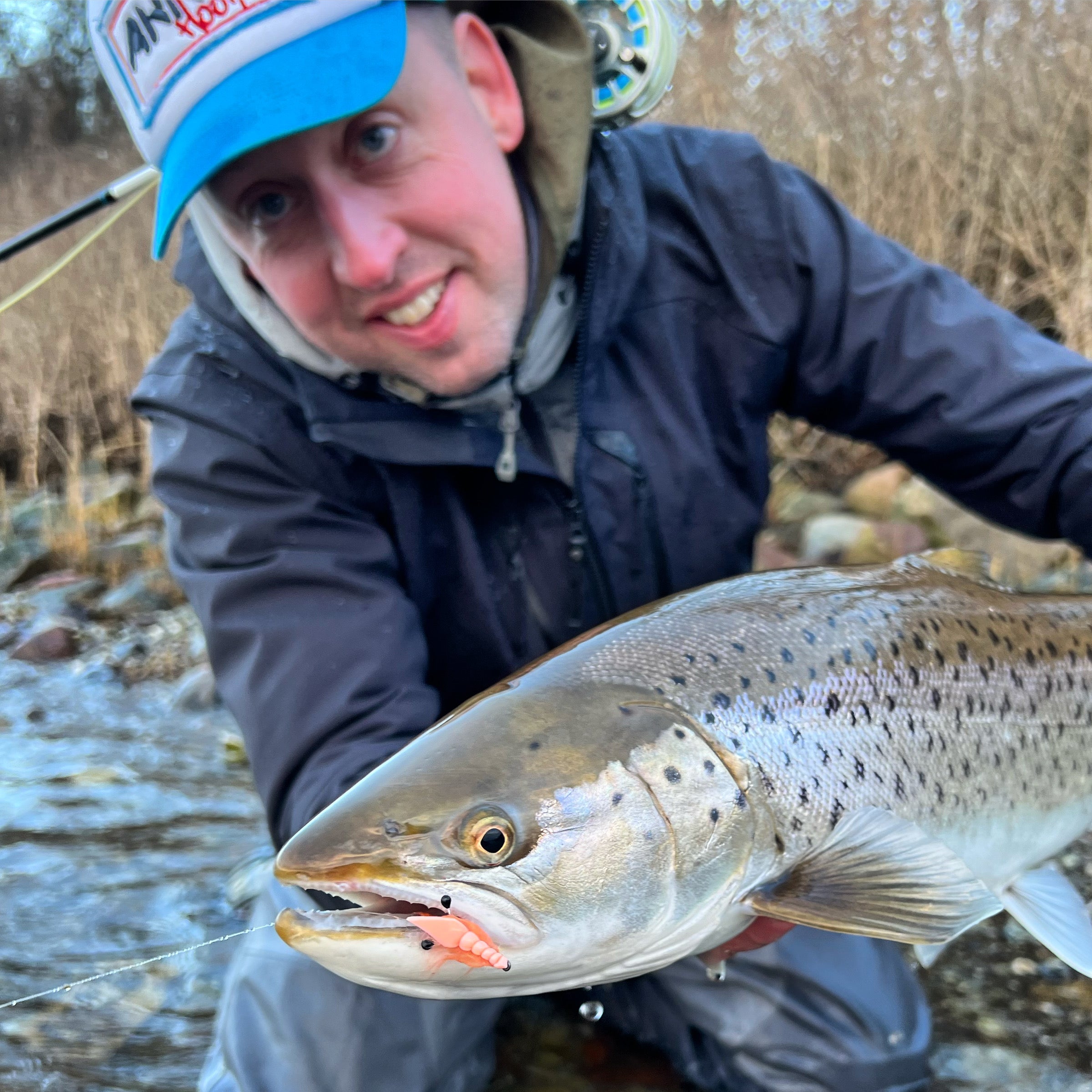 SloMo shrimp - Rejeflue til kystens havørred