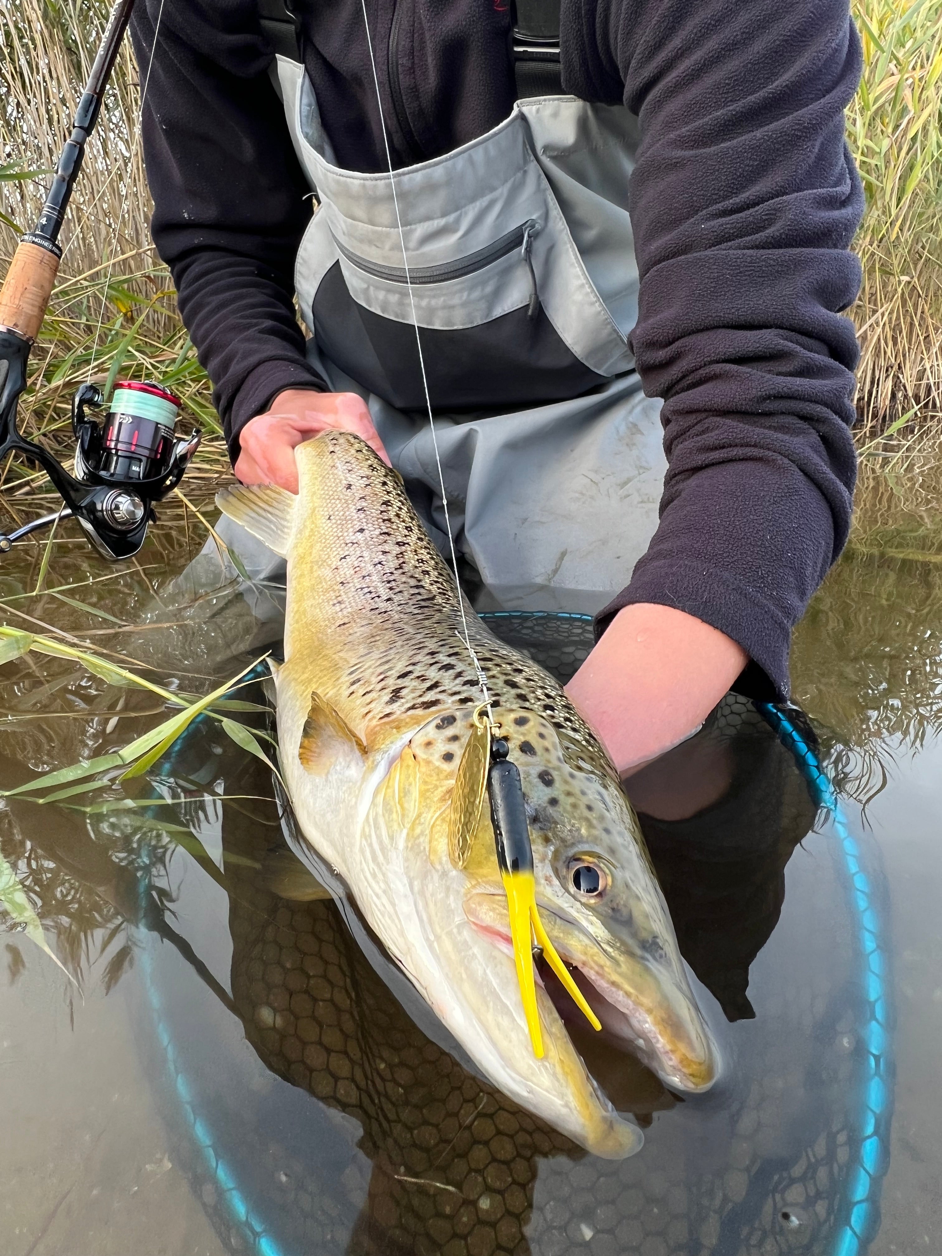 Med spinner på kysten - Det virker!