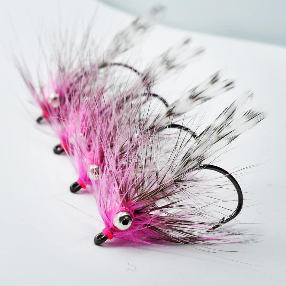 Polar Magnus: En Klassiker til Kystens Havørred