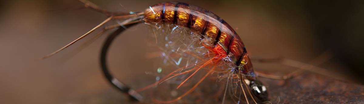 Børsteorme-, tangloppe- og mysisfluer