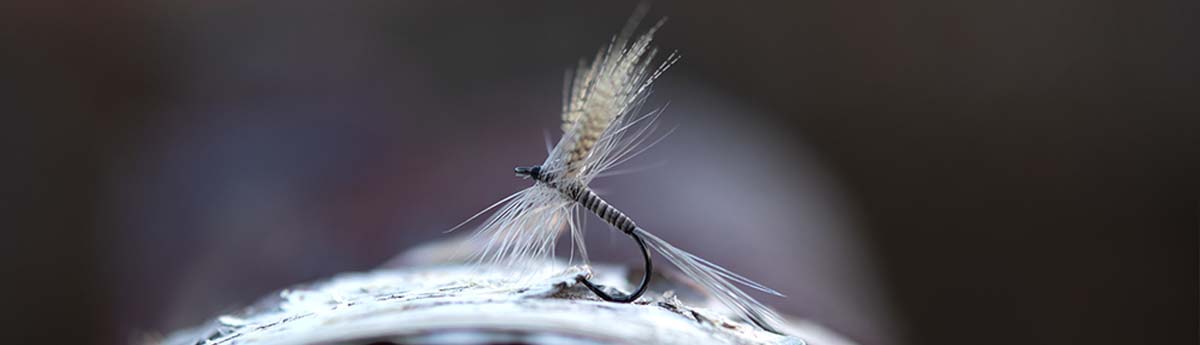 Tørflue og Nymfekroge