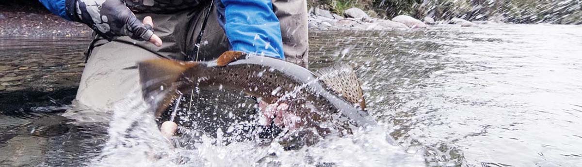 Reperation og Lapning