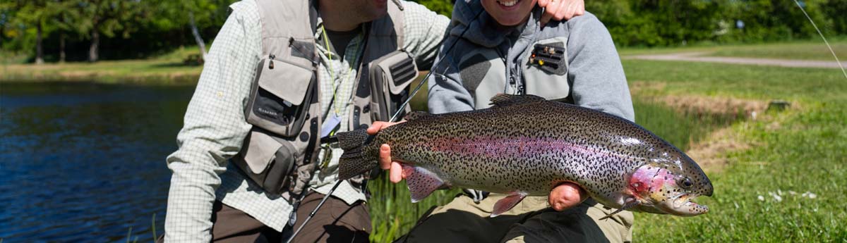 Put & Take softbates