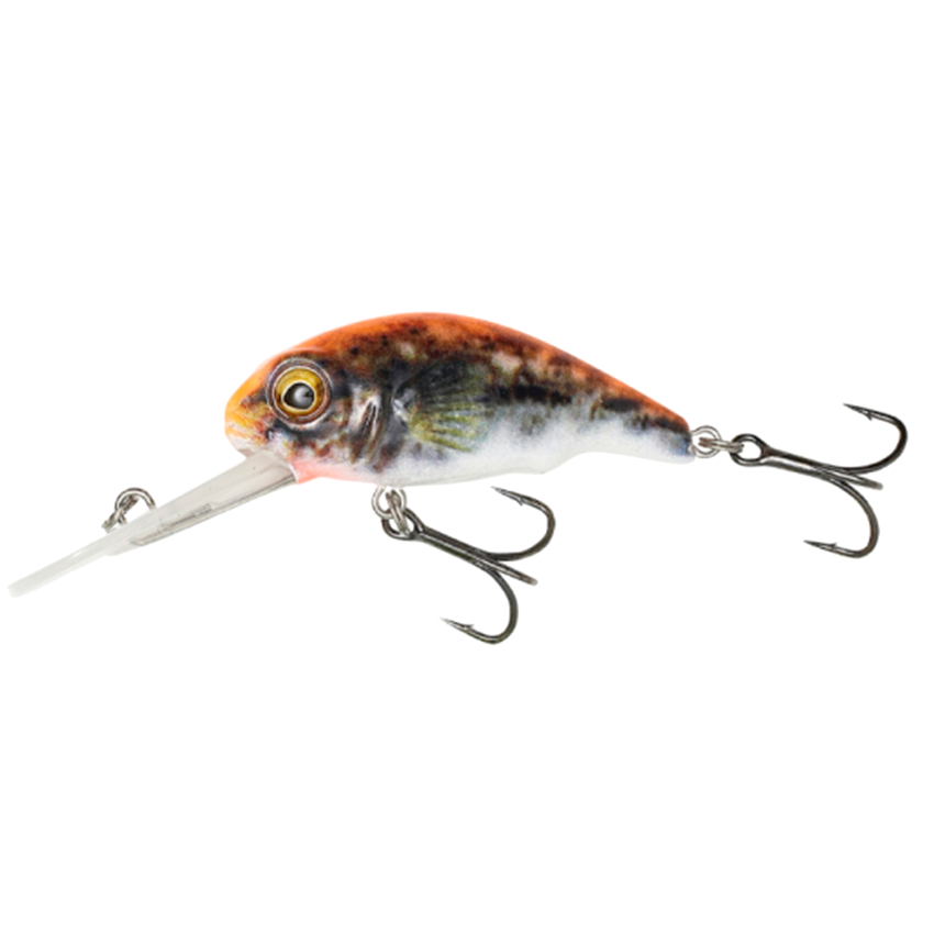 3d Goby Crank Bait