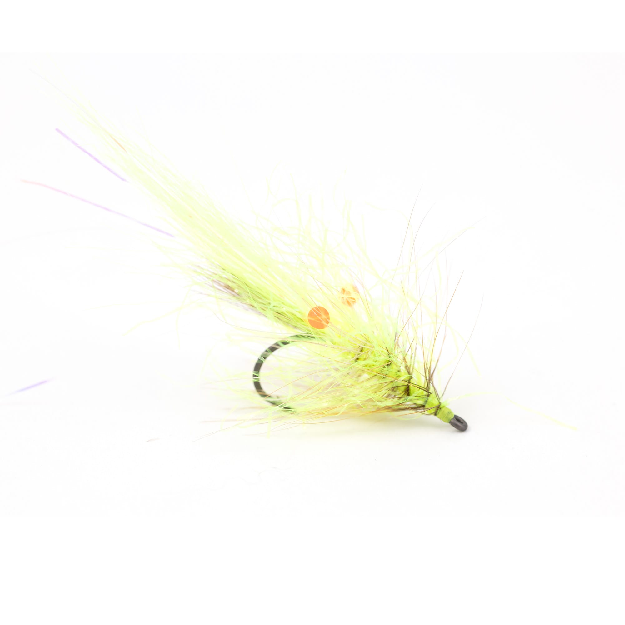 Alive Shrimp Yellow