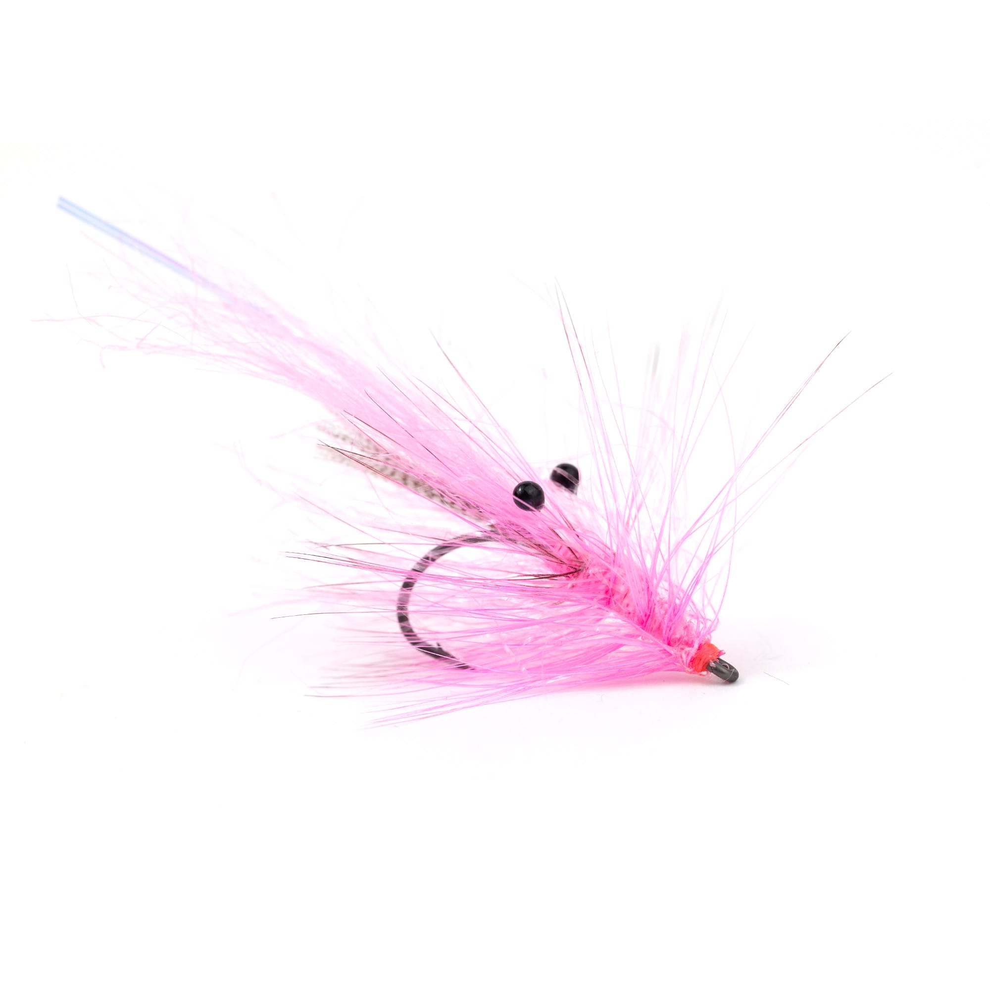 Alive Shrimp Pink