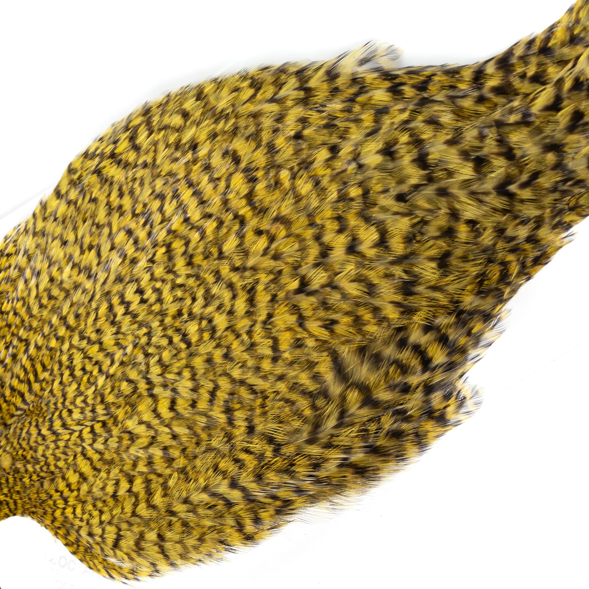 American Rooster Capes - Grizzly