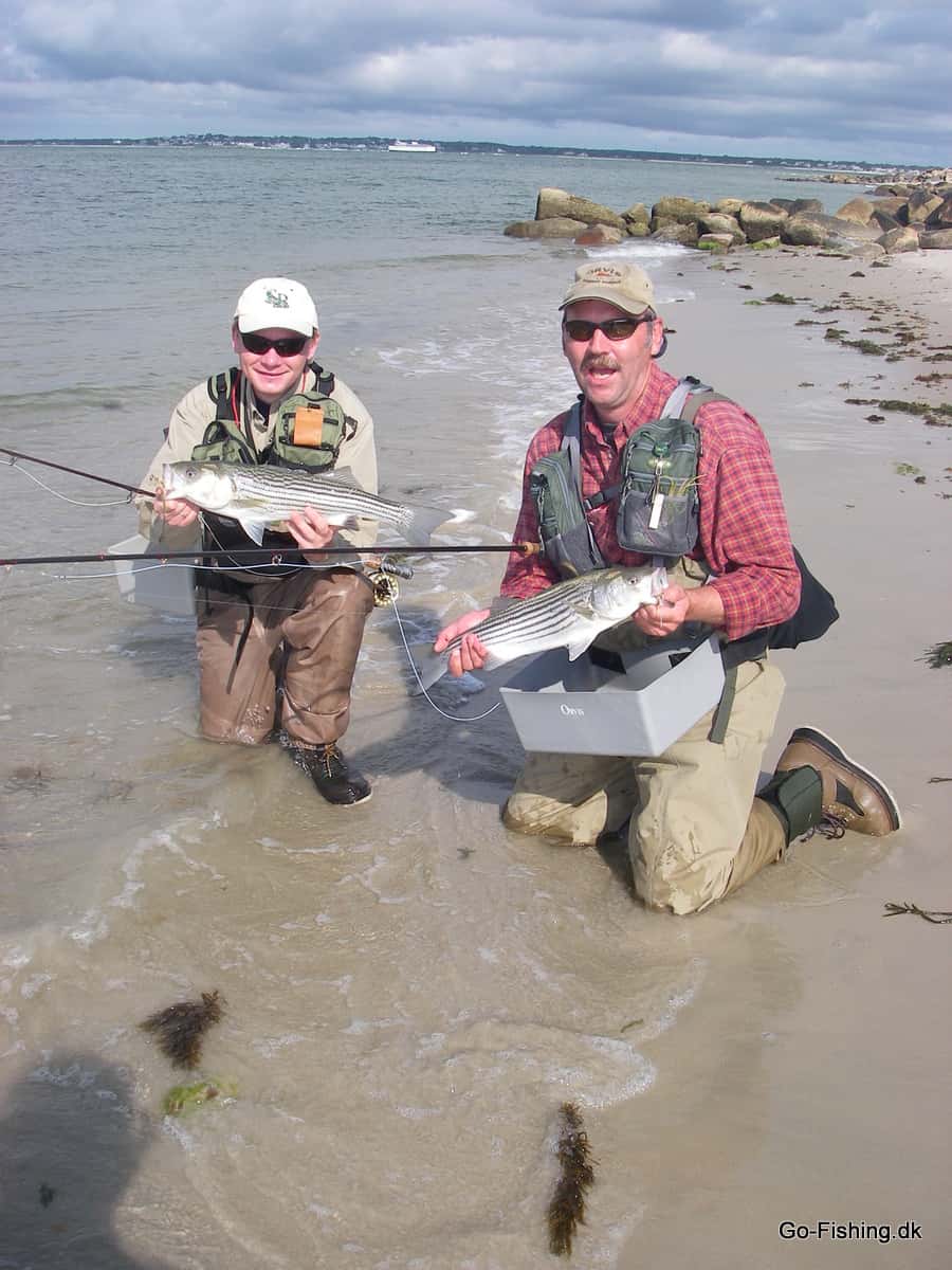 Gummi Minnow Tobisen Kystflue