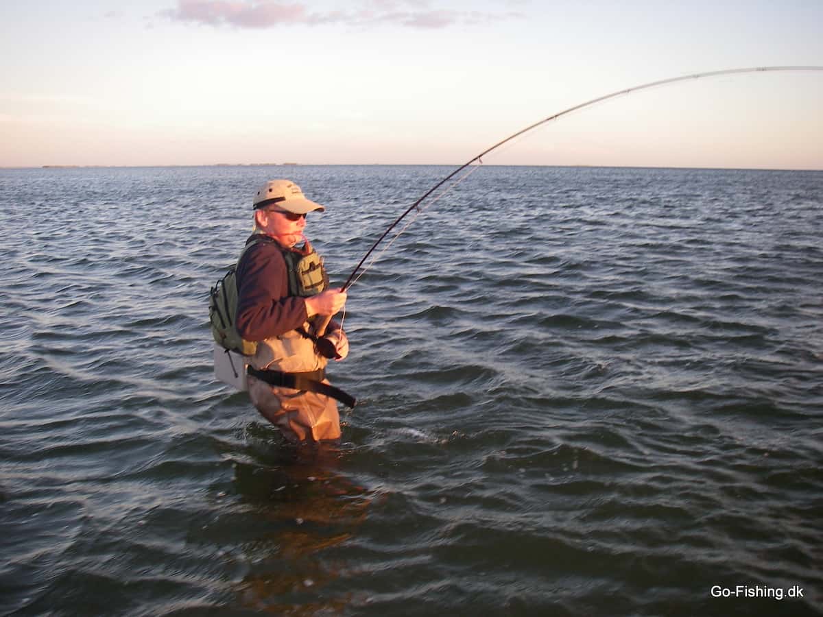 Surf Candy Tobisflue