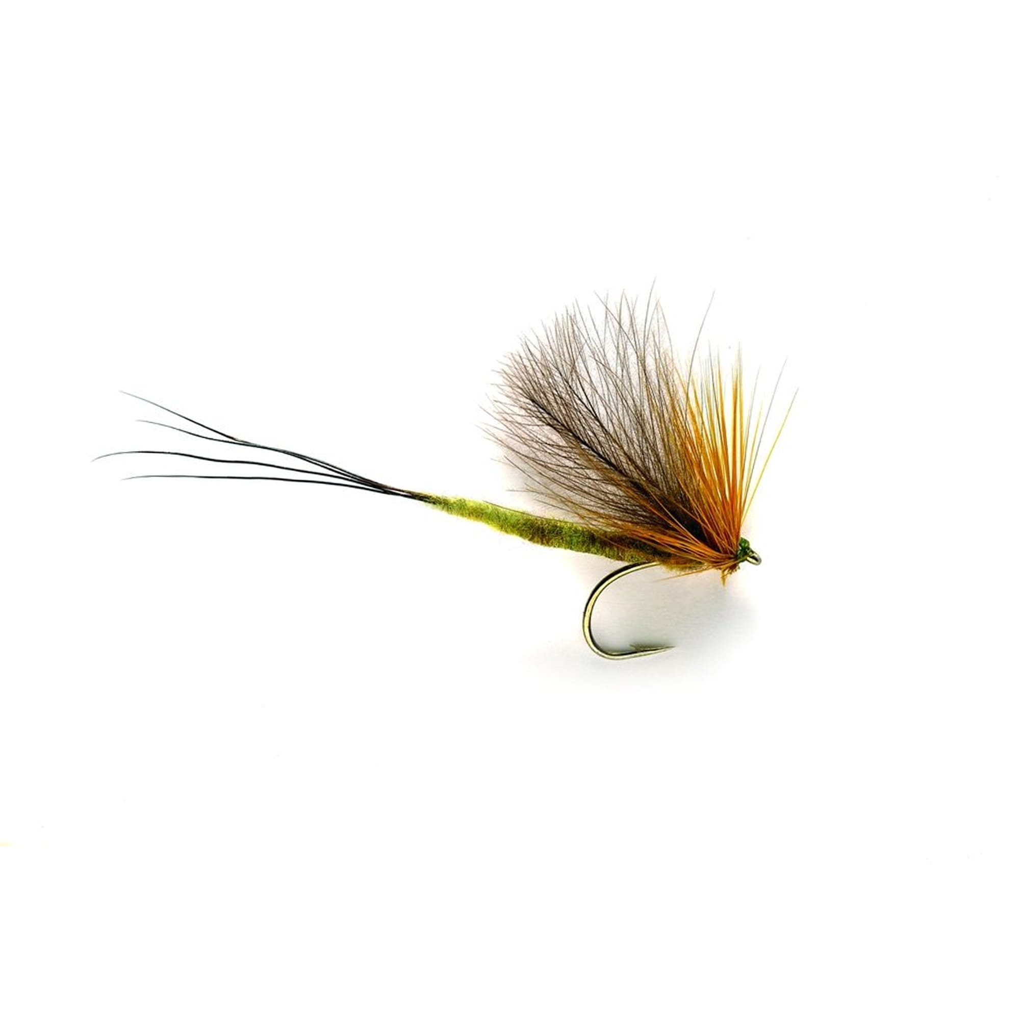Connemara Mayfly