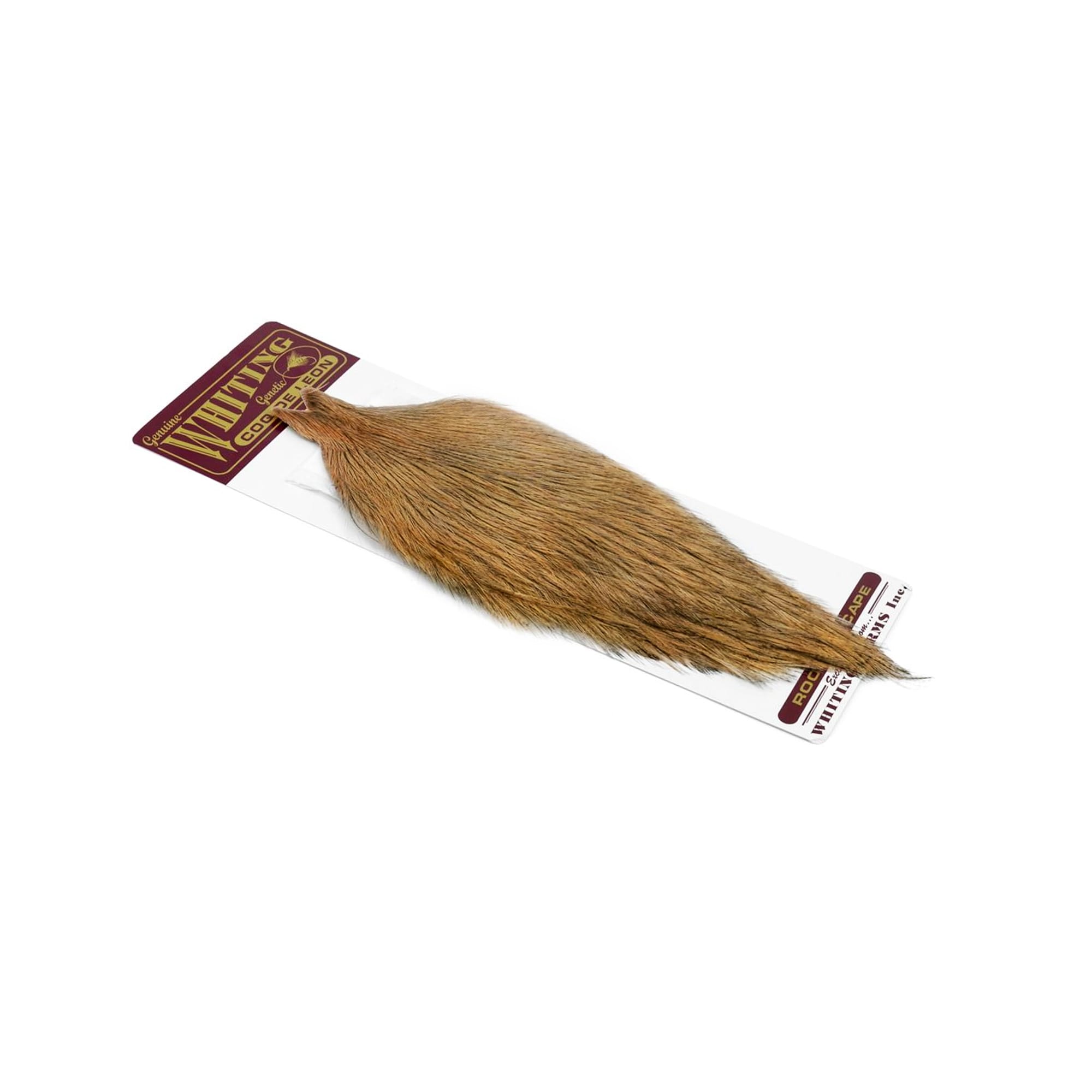 Coq De Leon Rooster Capes- Whiting Hane Nakker