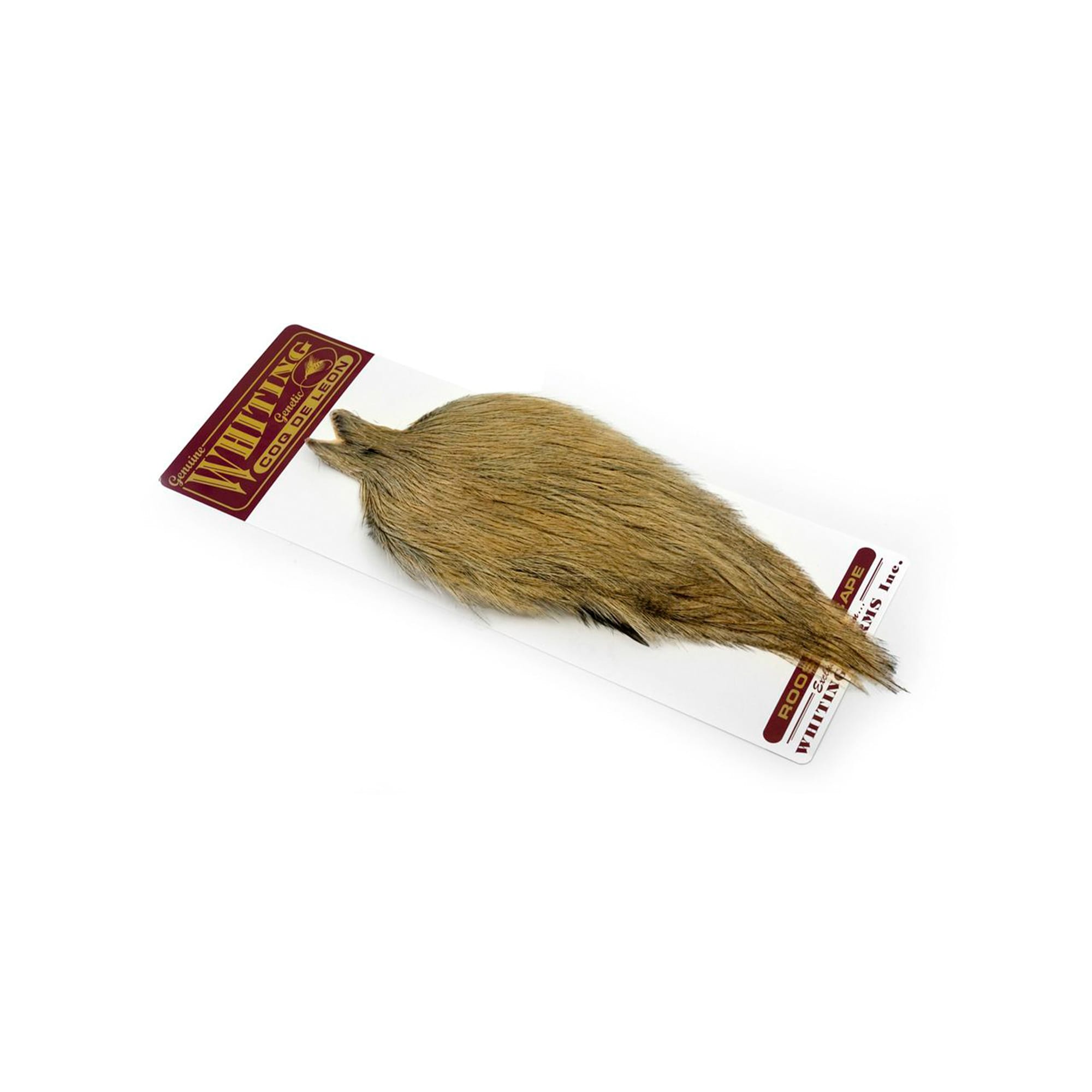 Coq De Leon Rooster Capes- Whiting Hane Nakker