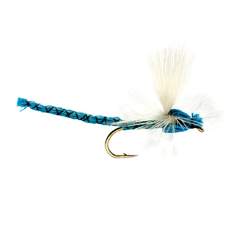 Damsel-Blue---Blå-Vandnymfe