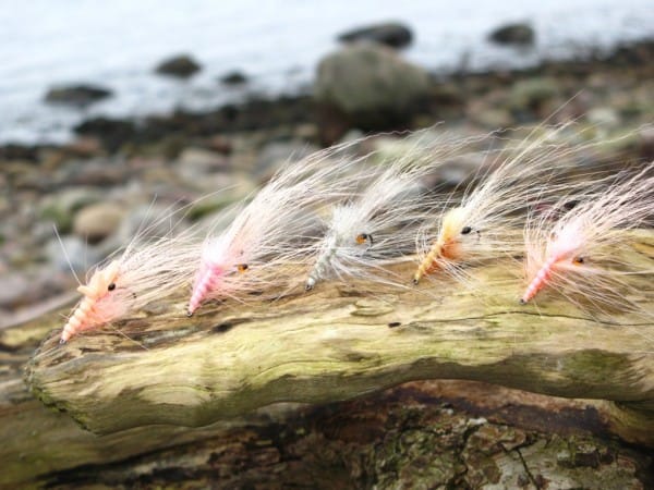 Spey Høne Nakke