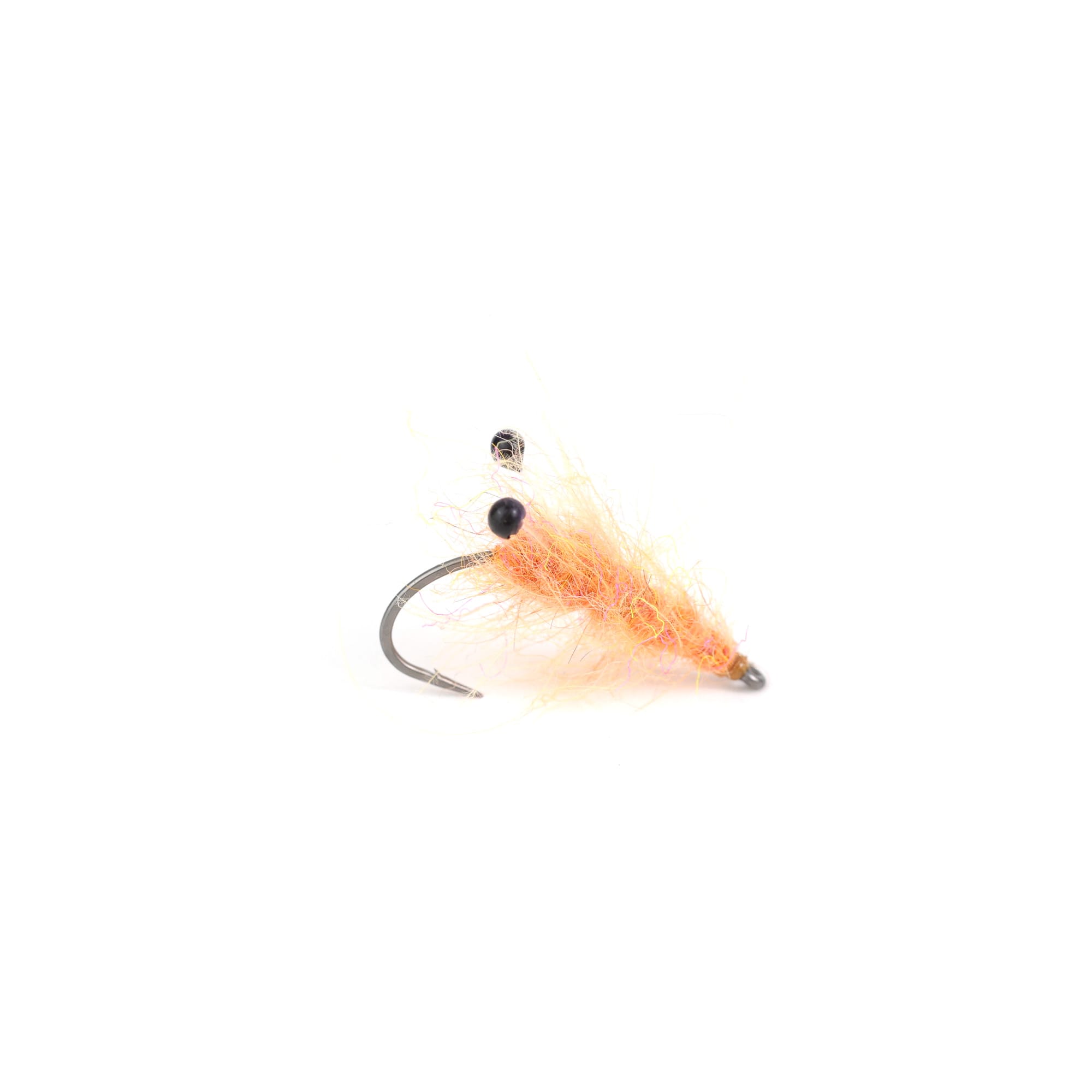 Fjordrejen salmon