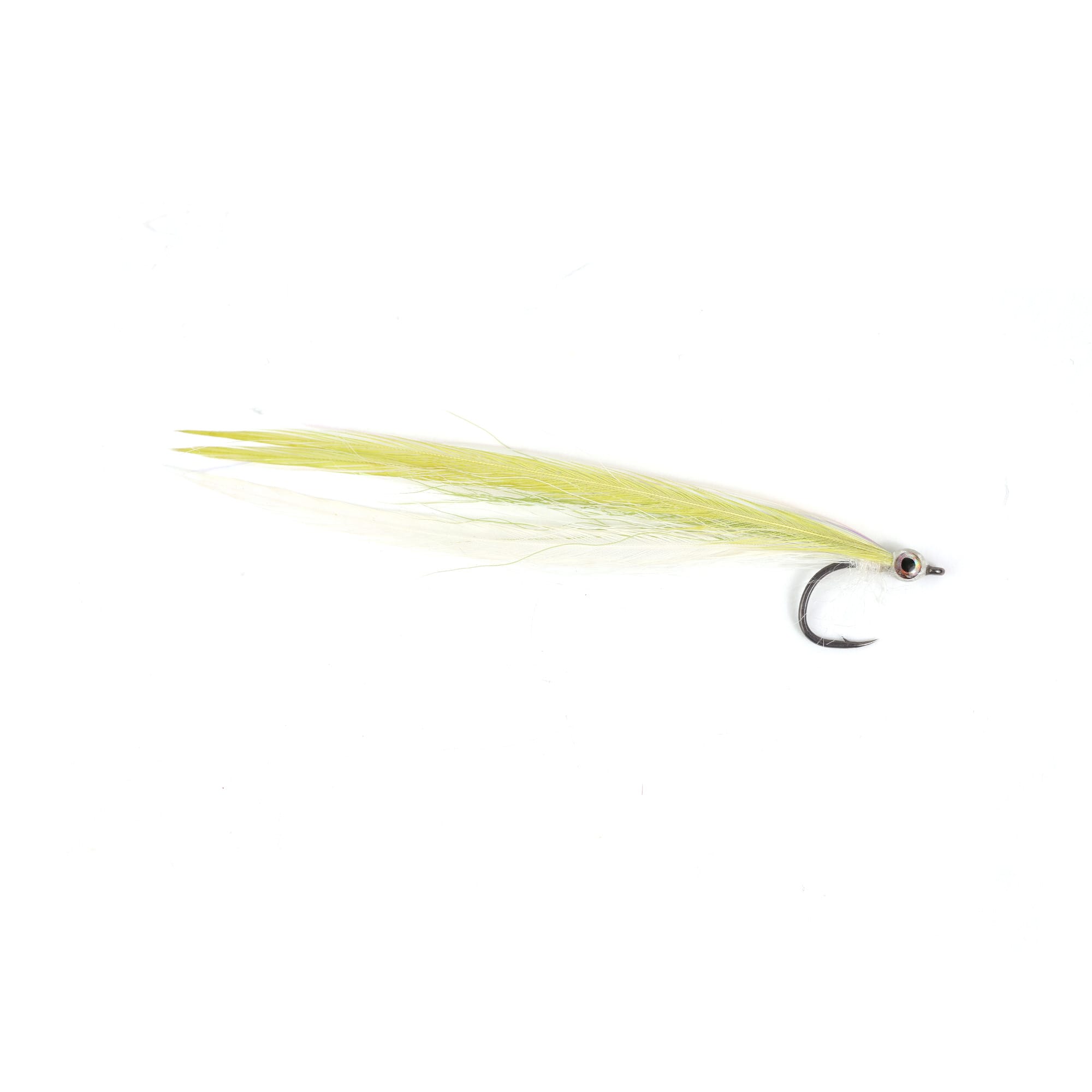 Flatwing Sandeel