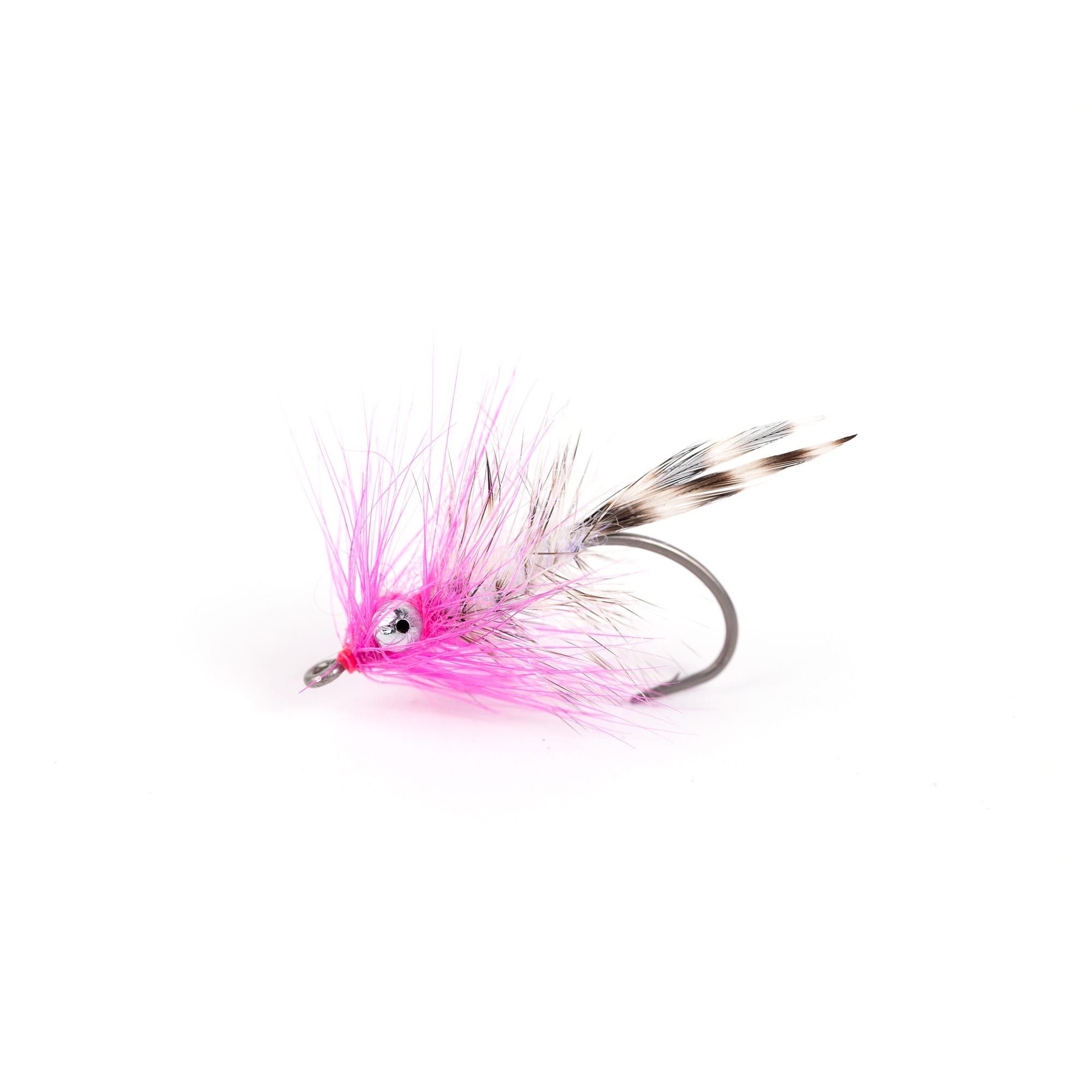 Gofi Polar Magnus