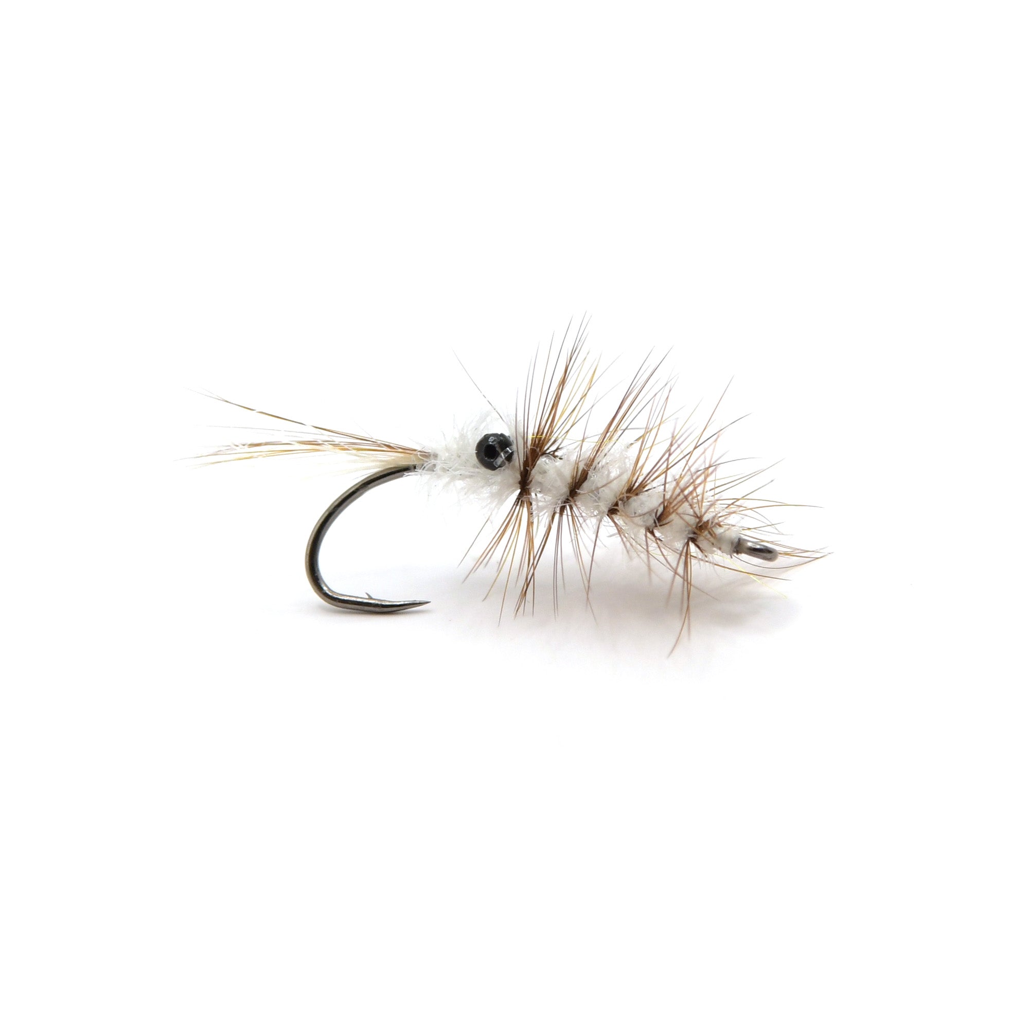 Final Shrimp - GoFi Flies